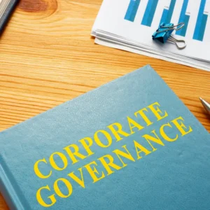 Corporate Governance Advisory